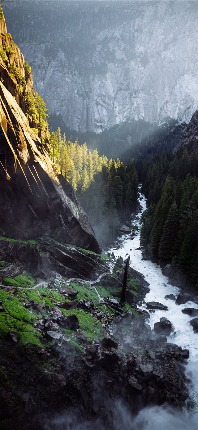 waterfalls between trees iPhone X wallpaper 