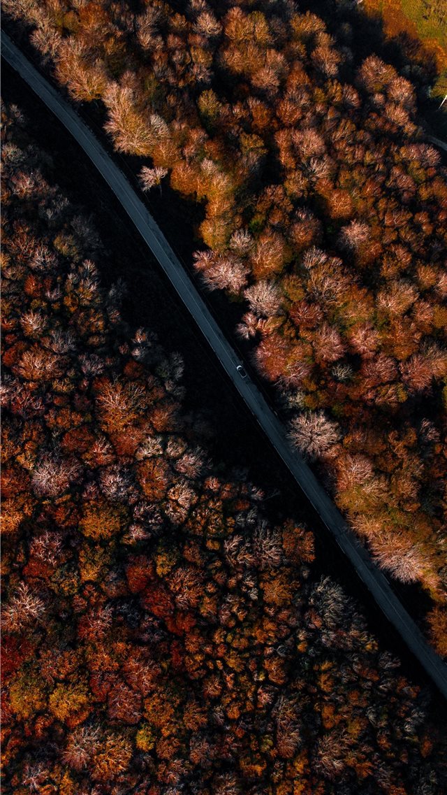 we were going towards an unknown destination while... iPhone 8 wallpaper 