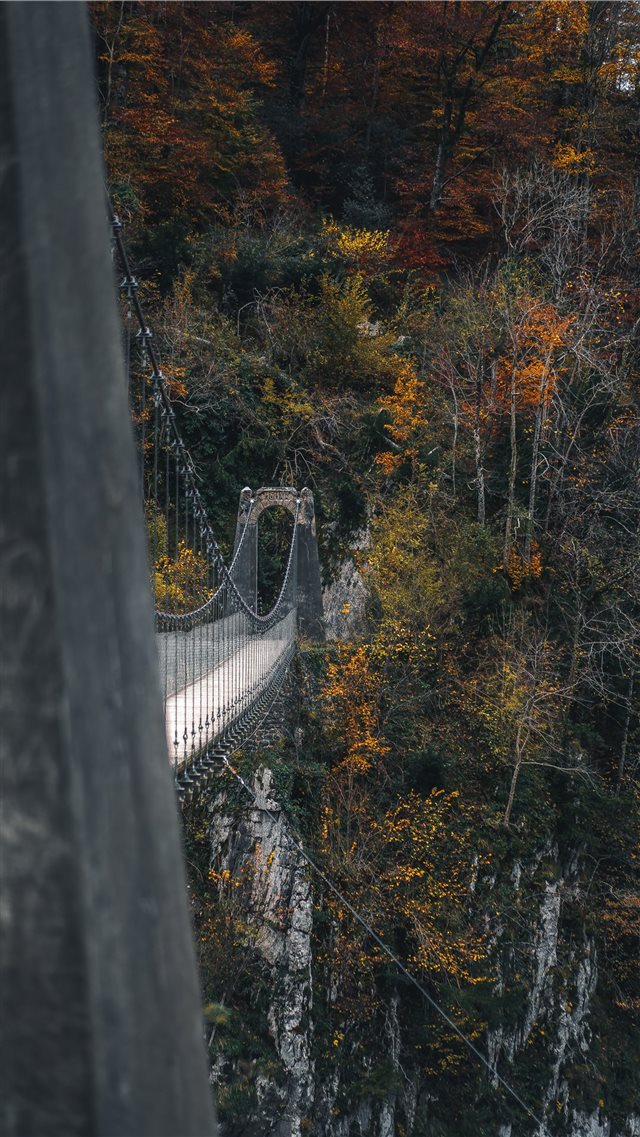 bridge near trees during daytime iPhone 8 wallpaper 