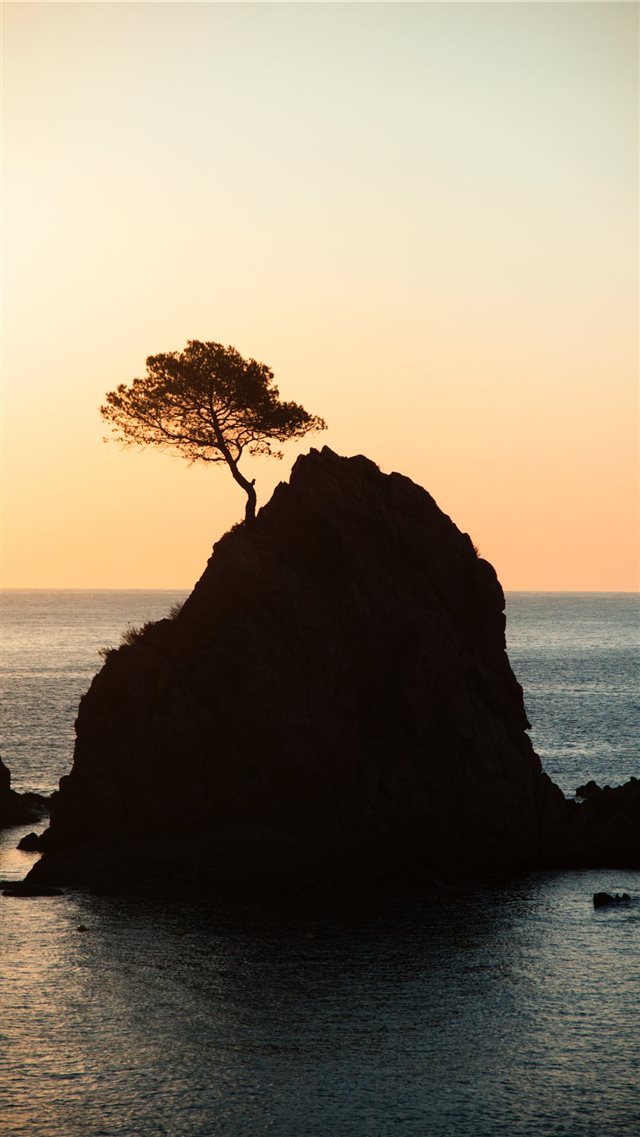 brown rock formation with tree under white sky dur... iPhone 8 wallpaper 