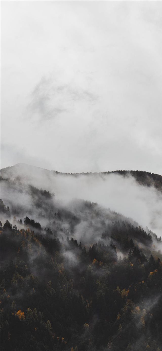 mountains covered with fogs iPhone X wallpaper 