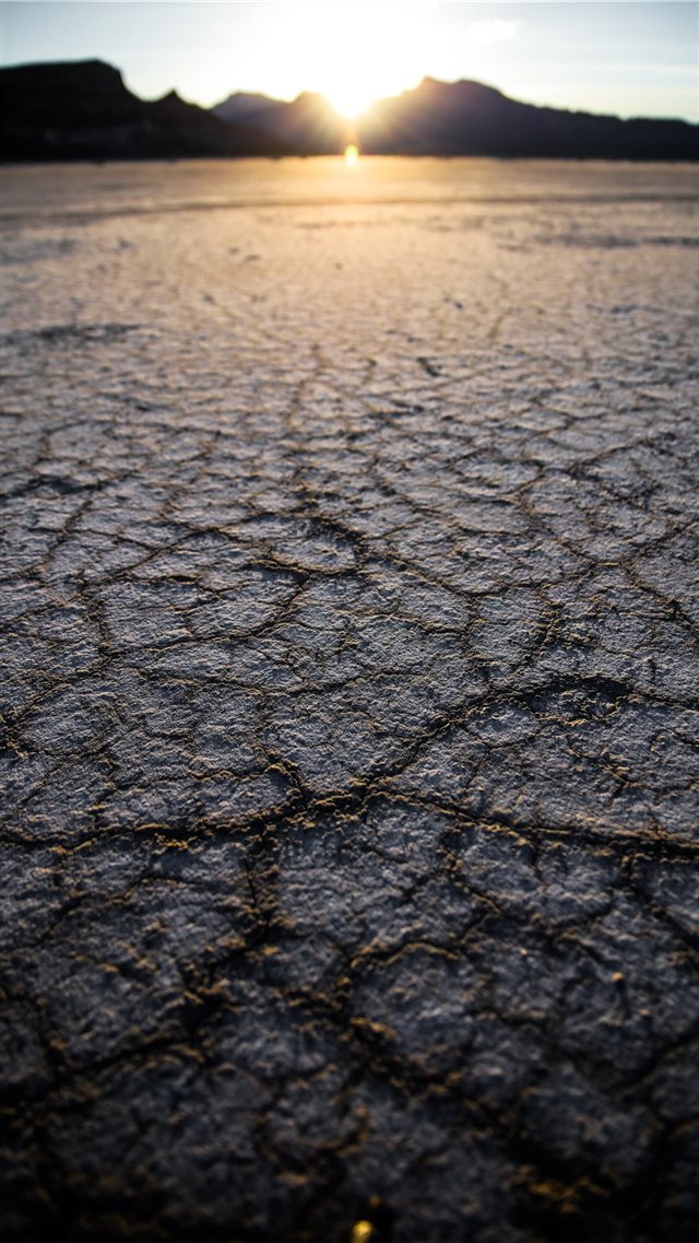 selective focus photography of dry soil iPhone SE wallpaper 