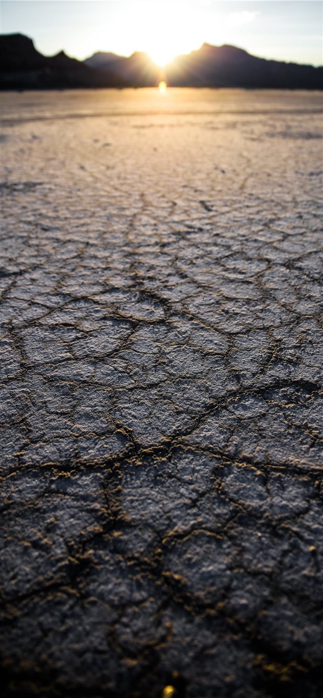 selective focus photography of dry soil iPhone X wallpaper 