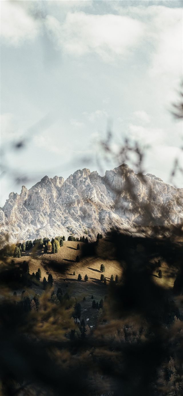 The view trough  iPhone 11 wallpaper 