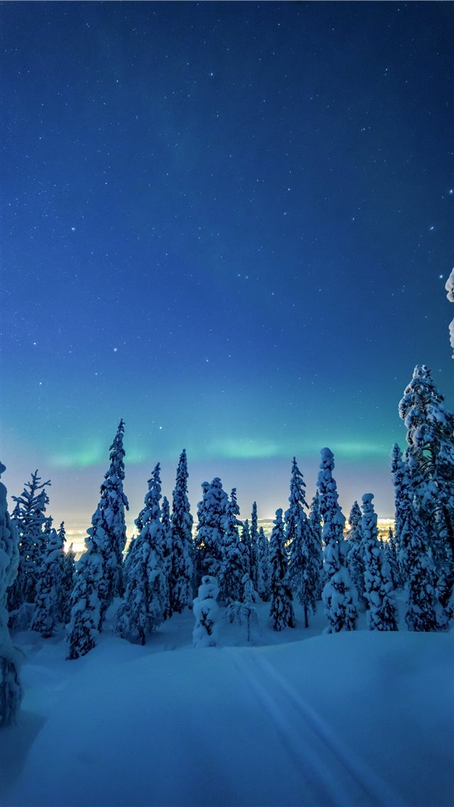 trees covered by white snow during daytime iPhone 8 wallpaper 