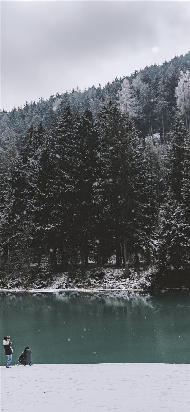 two men on edge of body of water facing pine trees... iPhone X wallpaper 
