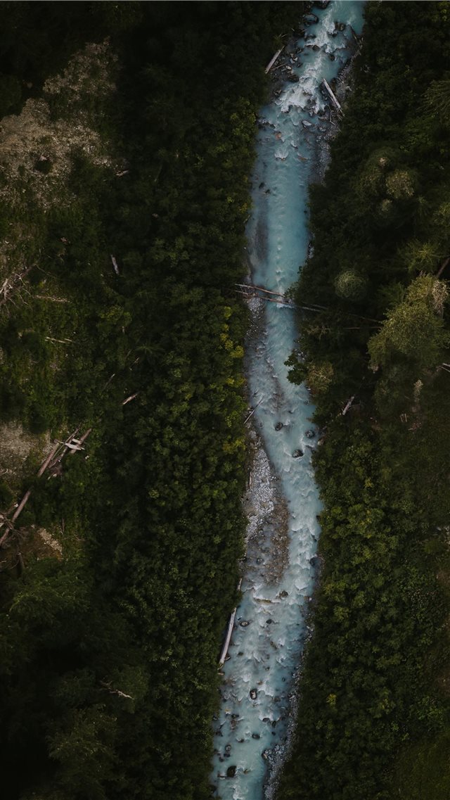 water stream with trees on sides iPhone 8 wallpaper 