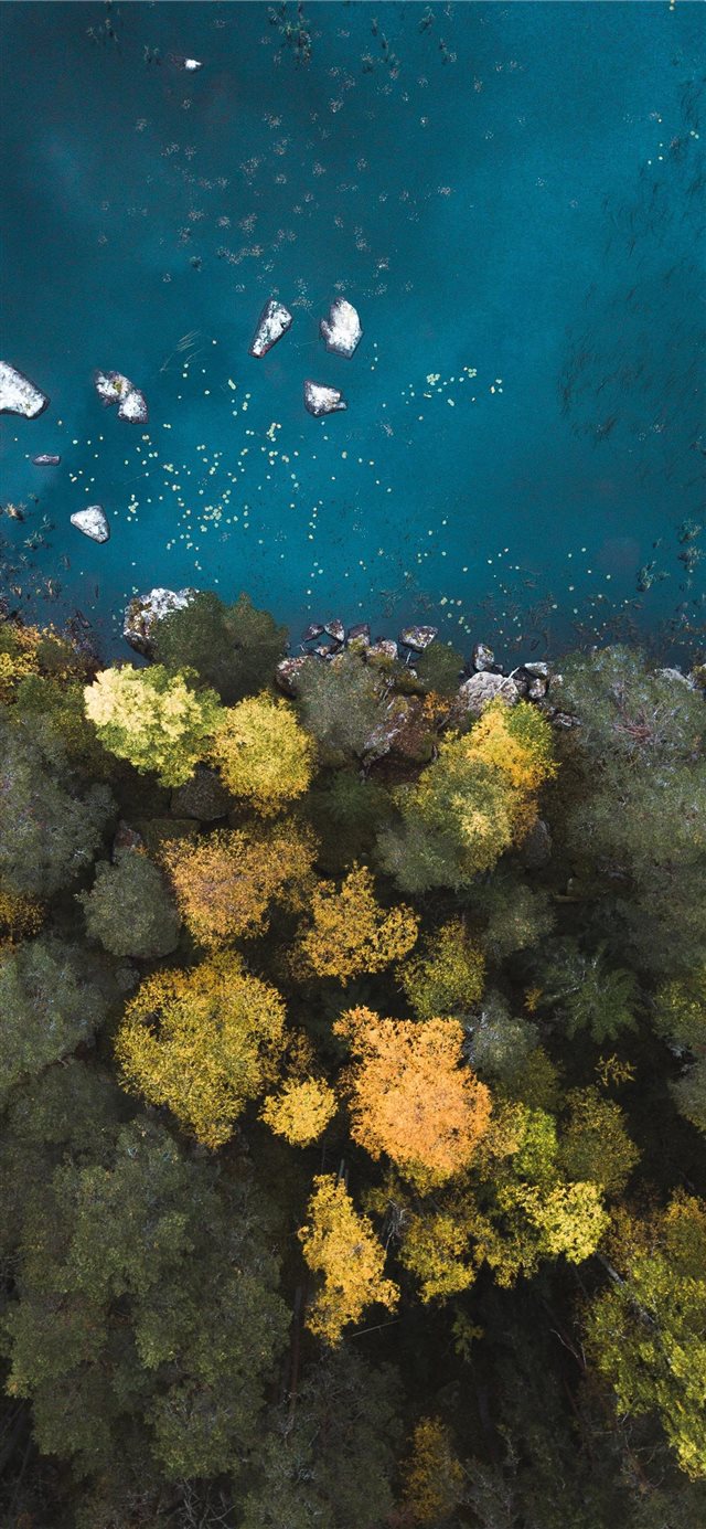 aerial photography of body of water near trees iPhone 11 wallpaper 