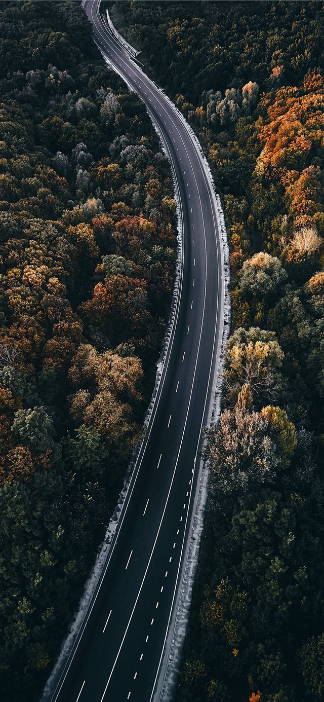aerial photography of road between trees iPhone X wallpaper 
