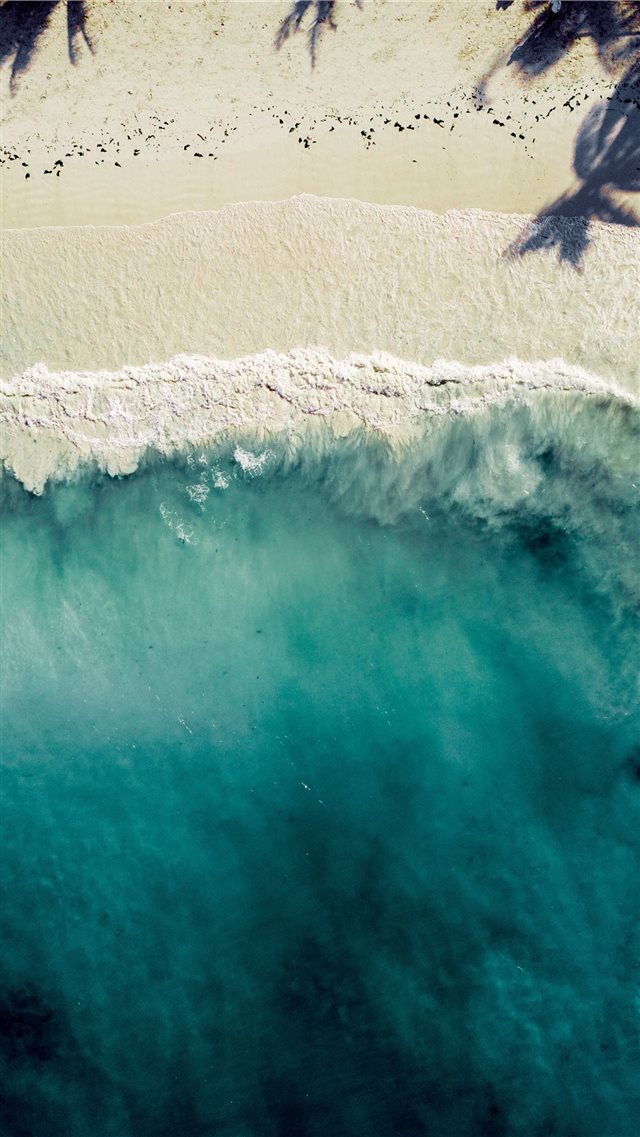 aerial photography of sea shore iPhone 8 wallpaper 