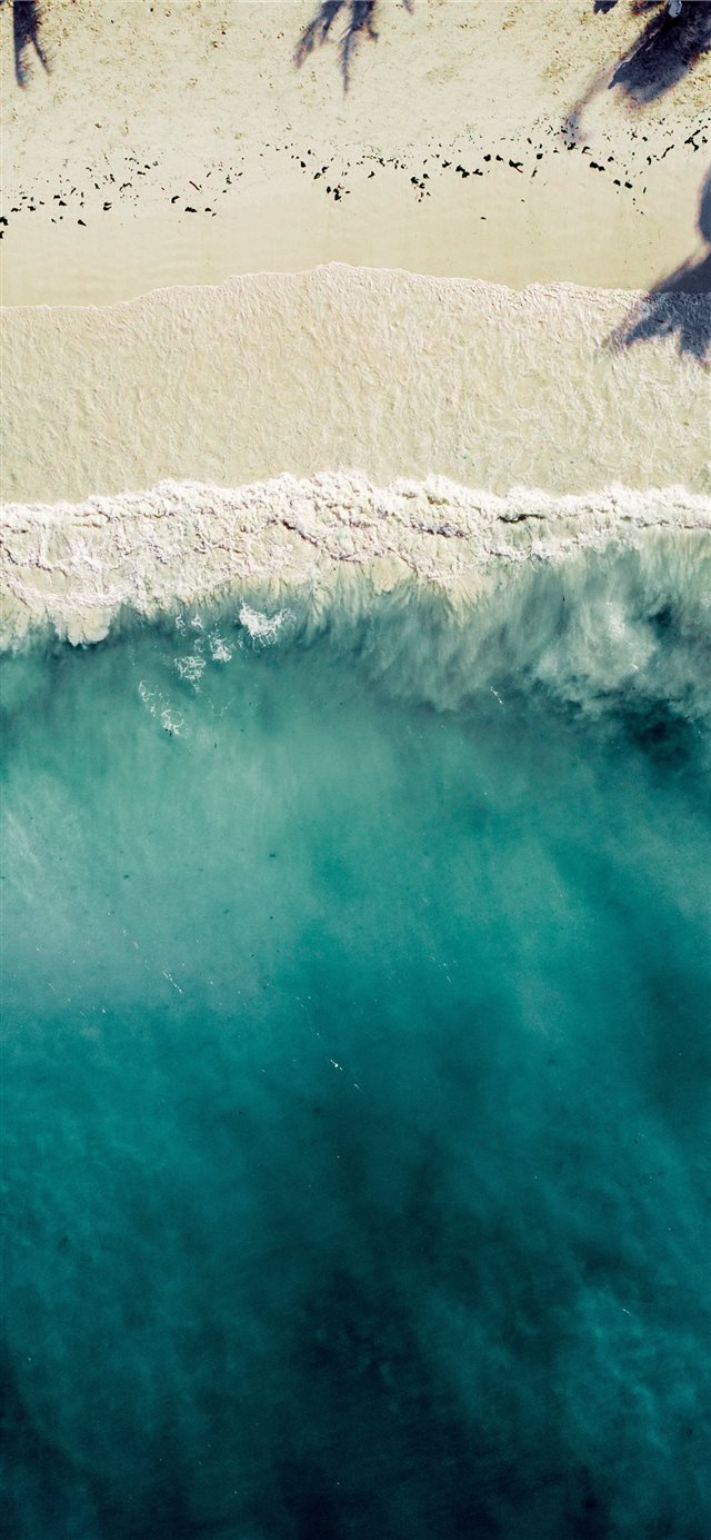 aerial photography of sea shore iPhone X wallpaper 