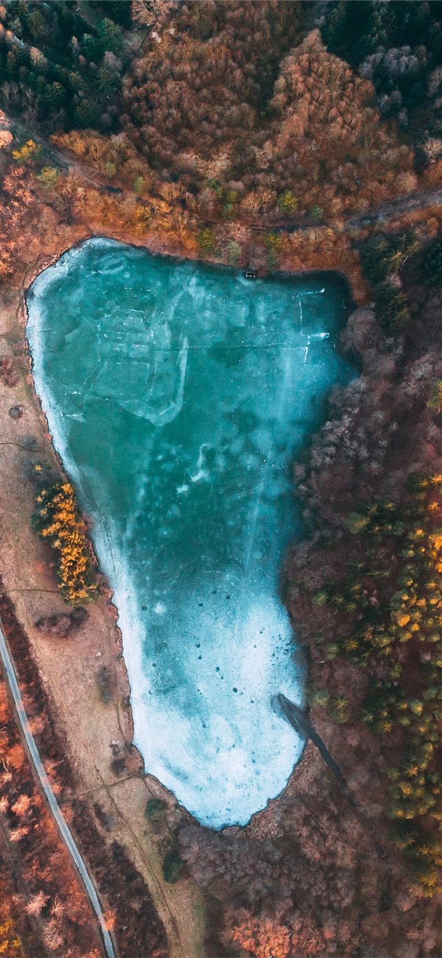 aerial view of lake surrounded by trees during day... iPhone 11 wallpaper 