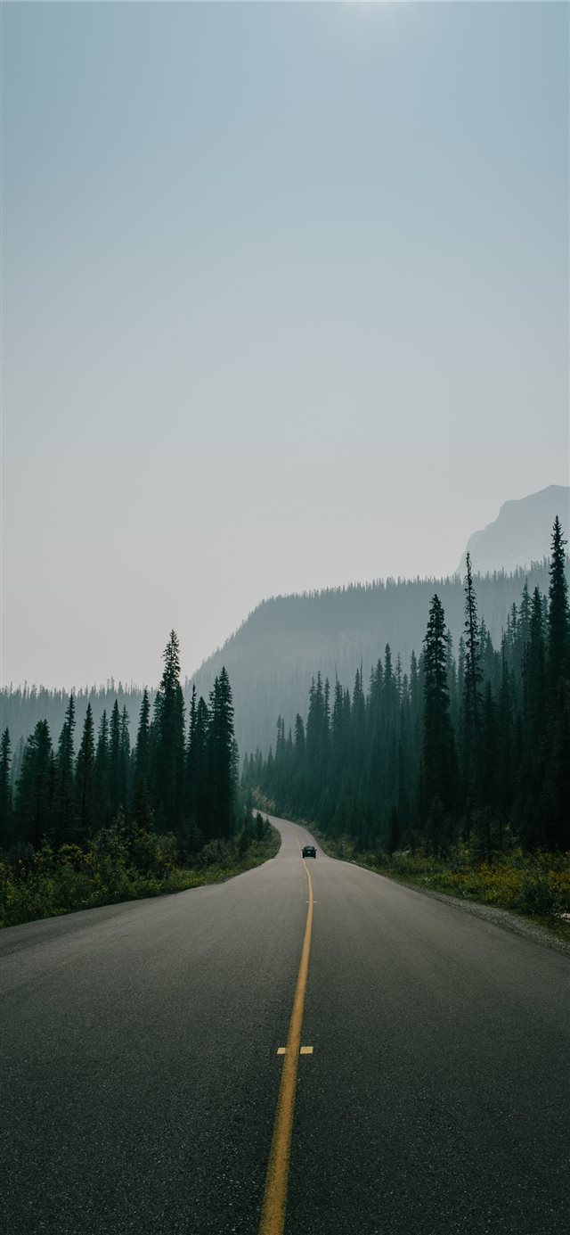 asphalt road surrounded by trees under skies iPhone 11 wallpaper 