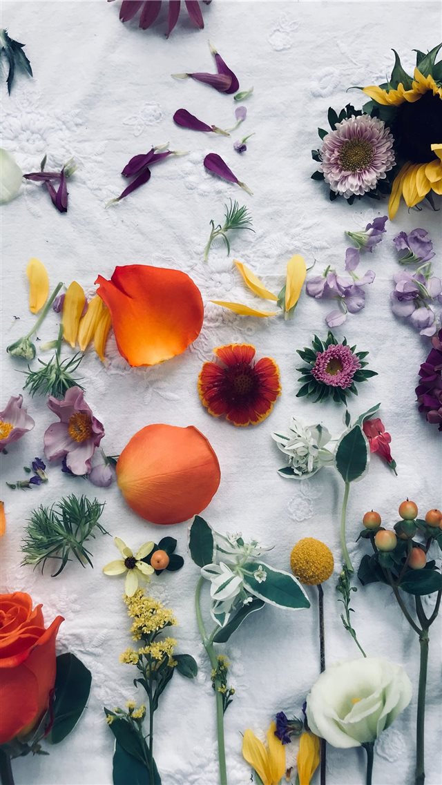 assorted color flower decors iPhone 8 wallpaper 
