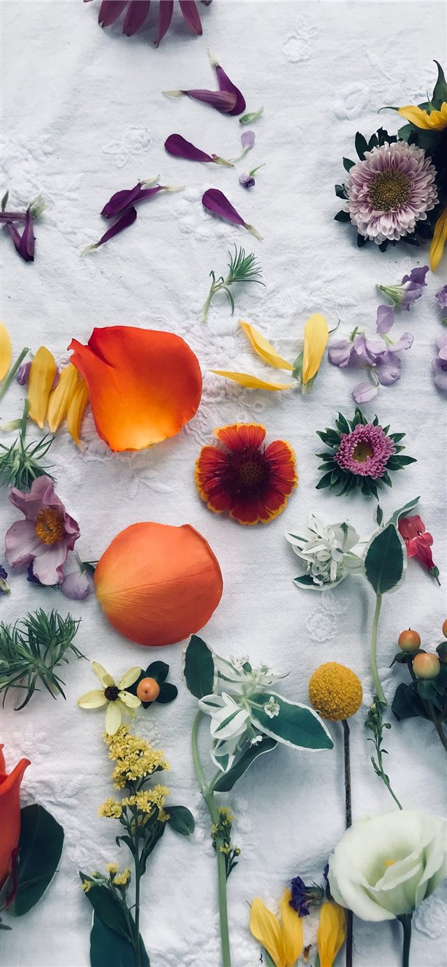 assorted color flower decors iPhone X wallpaper 