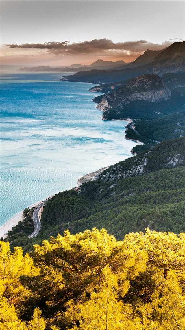 bird's eye photography of road near body of water iPhone 8 wallpaper 