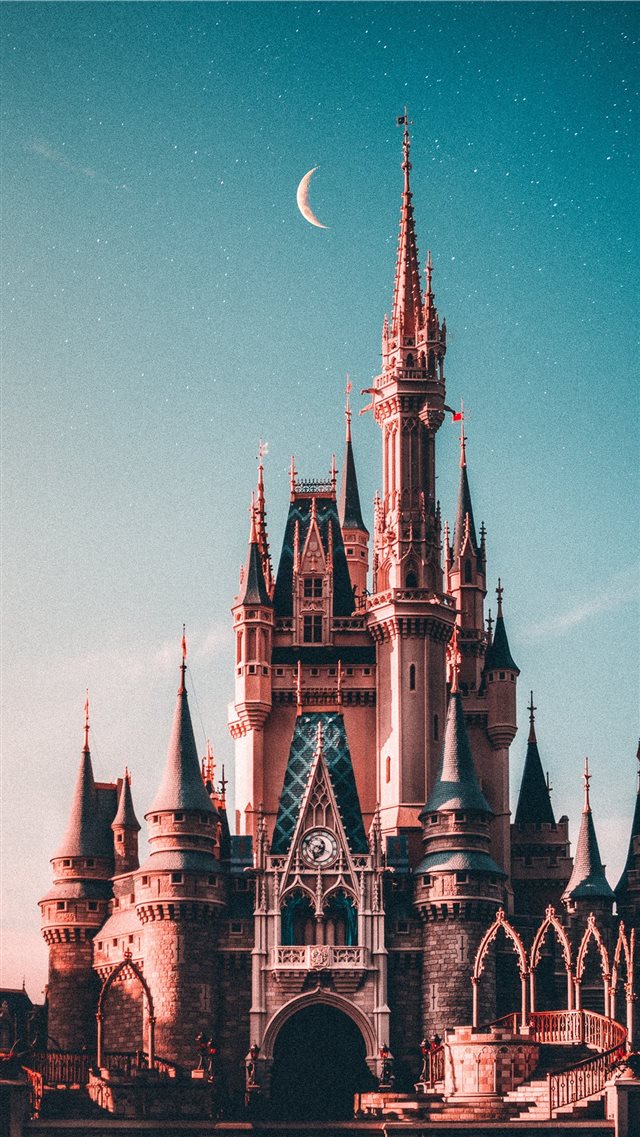 blue and beige Disneyland castle iPhone 8 wallpaper 