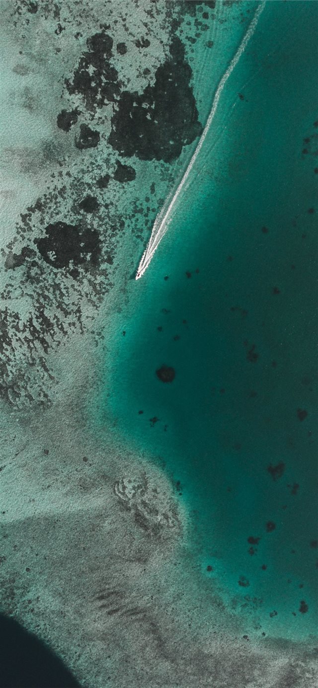 boat leaving white propeller wash in clear green s... iPhone X wallpaper 
