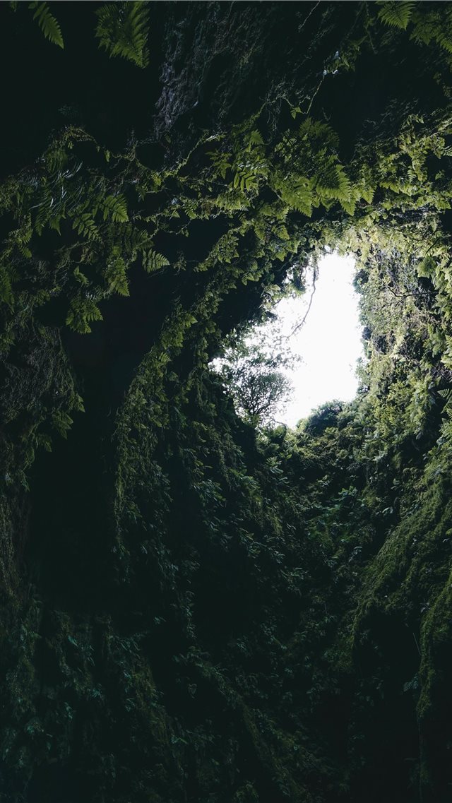 Inside old volcano in Terceira island Azores iPhone 8 wallpaper 