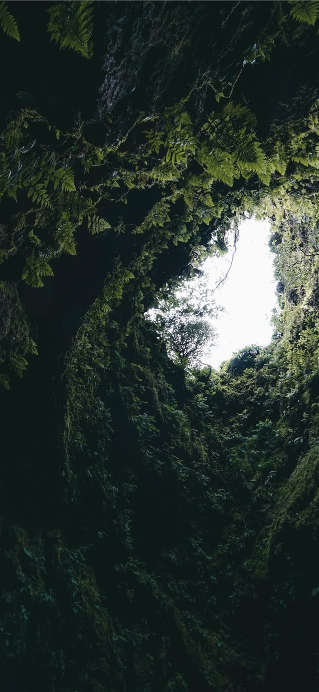 Inside old volcano in Terceira island Azores iPhone X wallpaper 