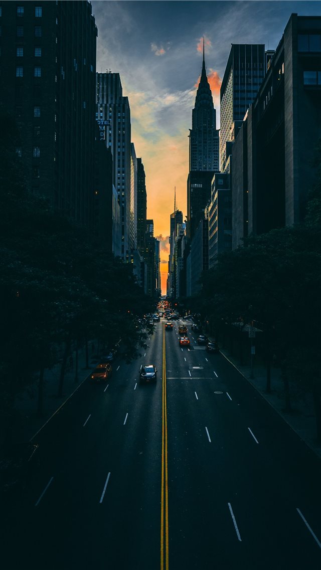 low light photography of vehicle crossing road bet... iPhone 8 wallpaper 