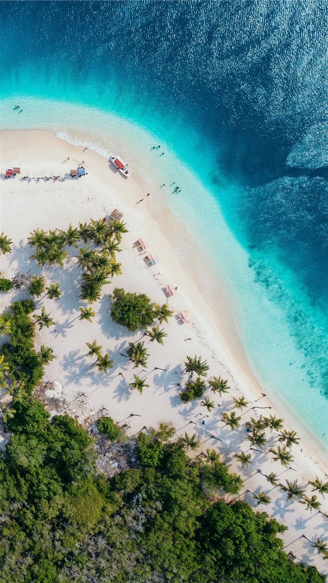 people on beach island during daytime iPhone 8 wallpaper 