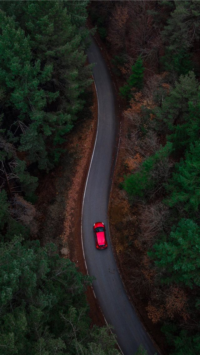 aerial photo of red car passing by green trees iPhone 8 wallpaper 