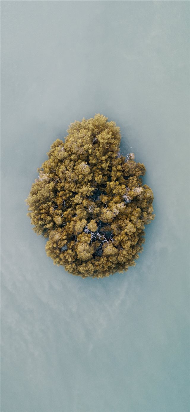 aerial photography of an island iPhone 11 wallpaper 