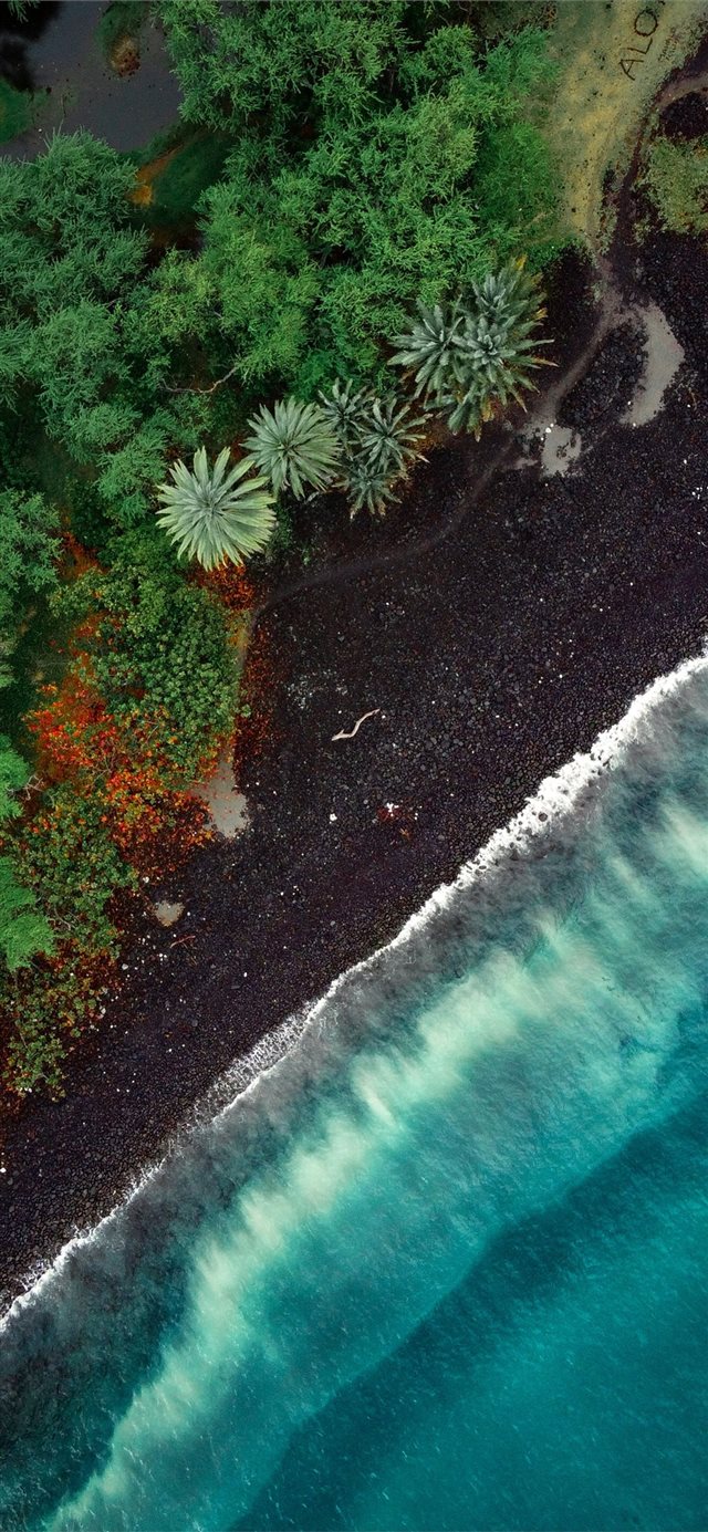 aerial view of green trees beside body of water du... iPhone X wallpaper 