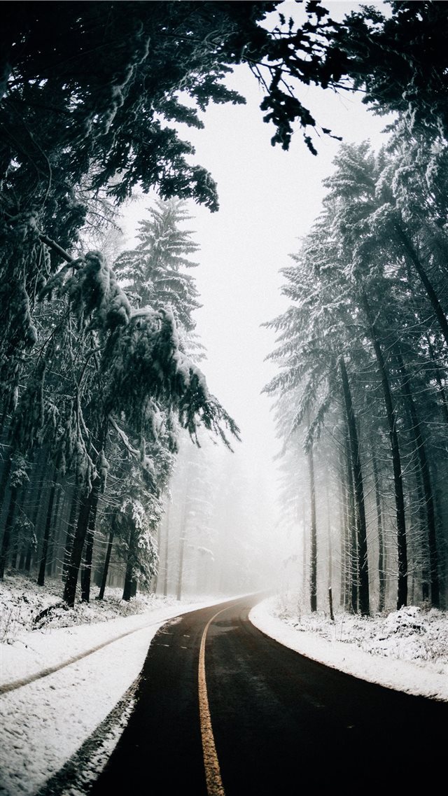 asphalt road in between trees covered with snow iPhone 8 wallpaper 