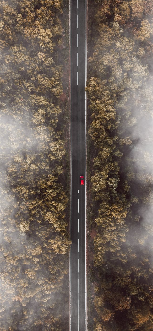 bird's eye view photo of road besides forest iPhone X wallpaper 