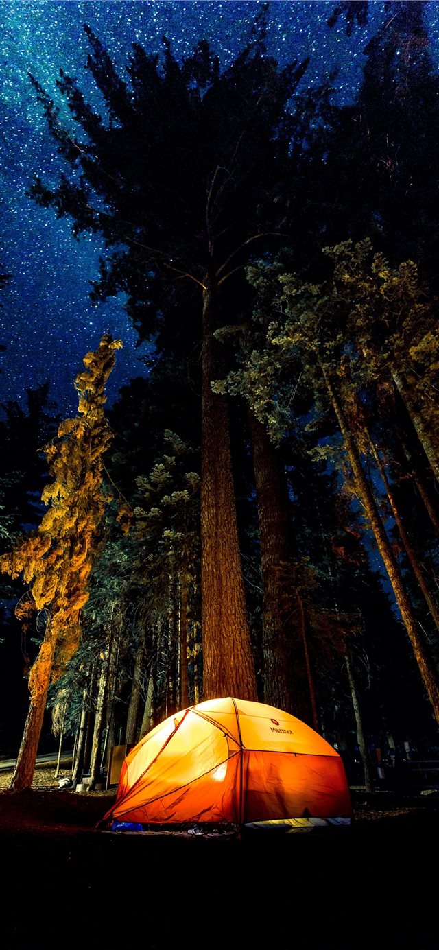 camping in forest during nightime iPhone X wallpaper 