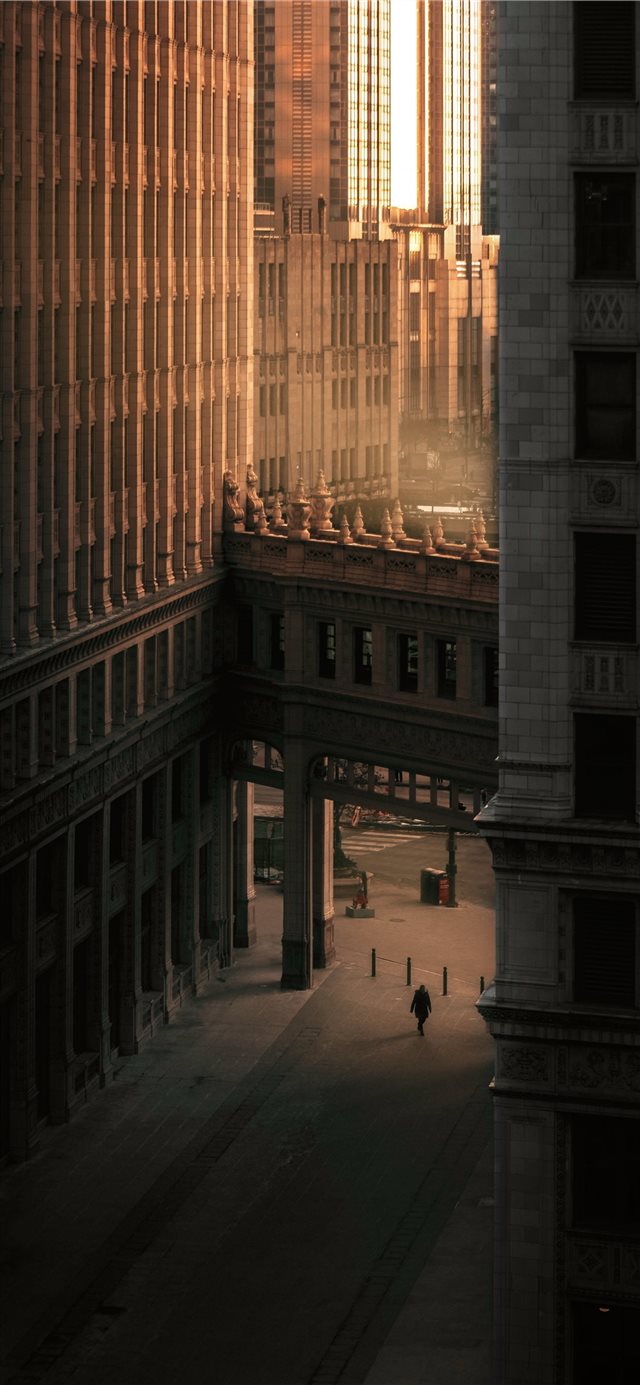 close up photography of buildings during daytime iPhone X wallpaper 