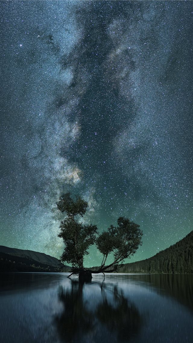 green leafed tree on body of water under starry sk... iPhone 8 wallpaper 