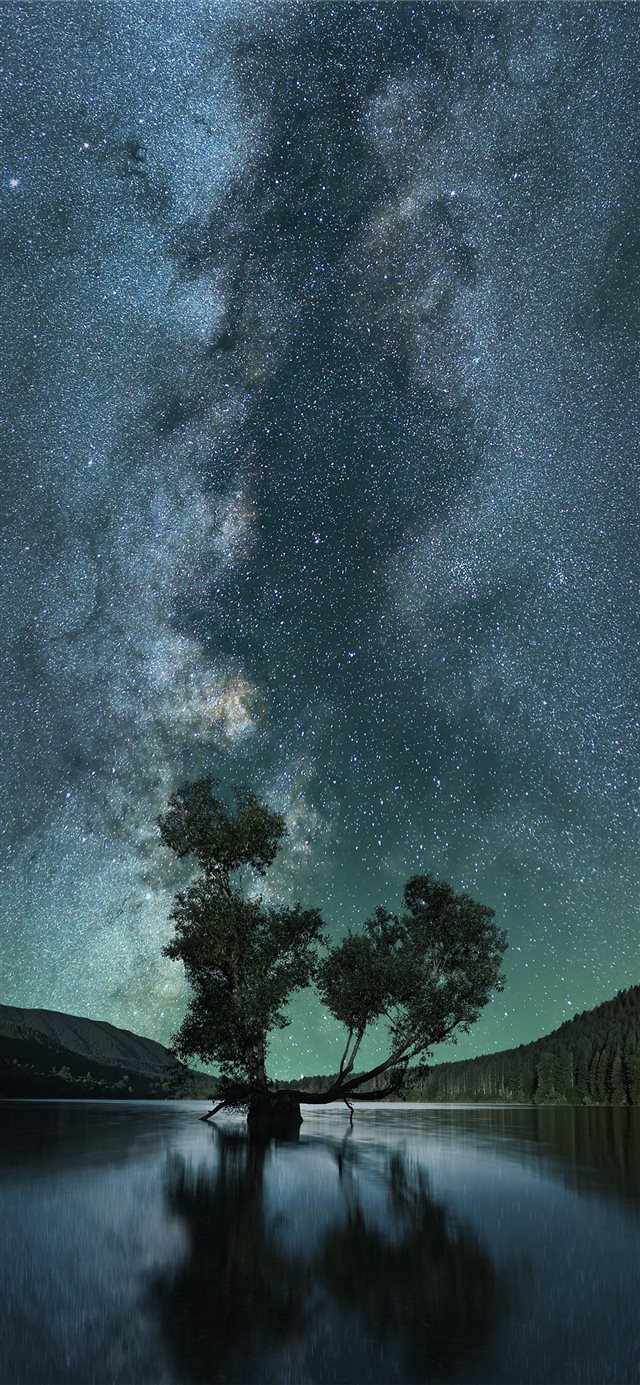 green leafed tree on body of water under starry sk... iPhone 11 wallpaper 