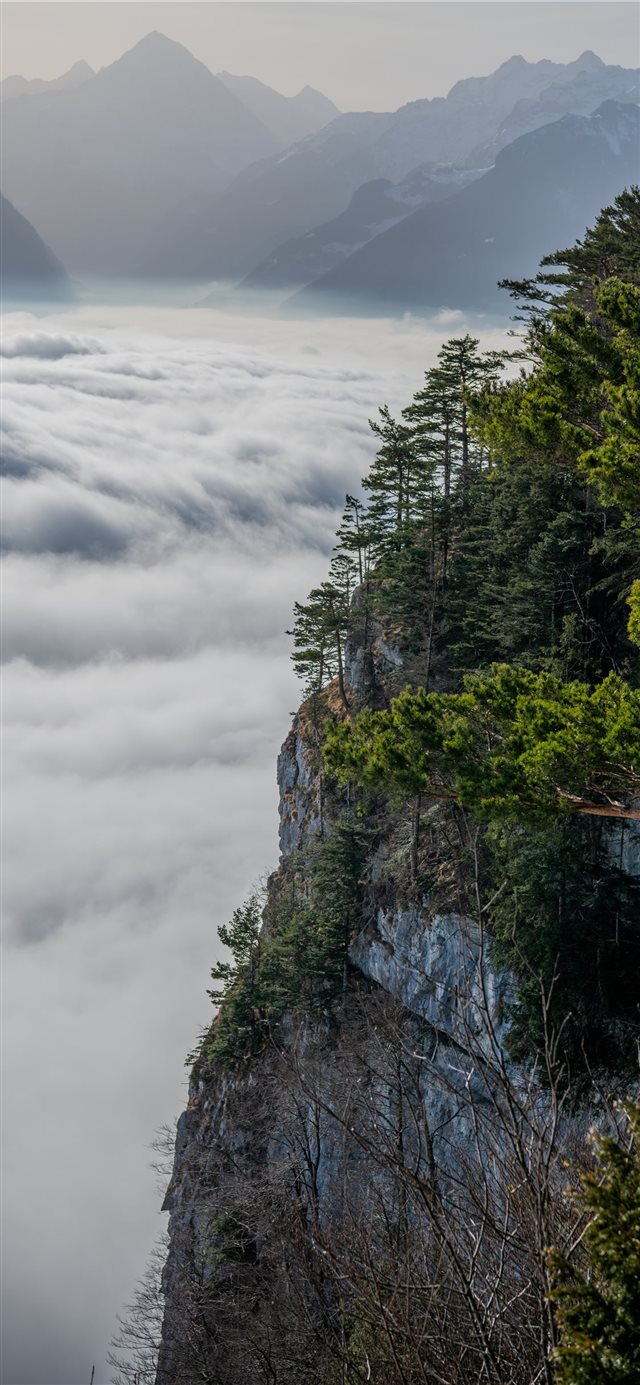 green trees on mountain under white clouds and blu... iPhone X wallpaper 