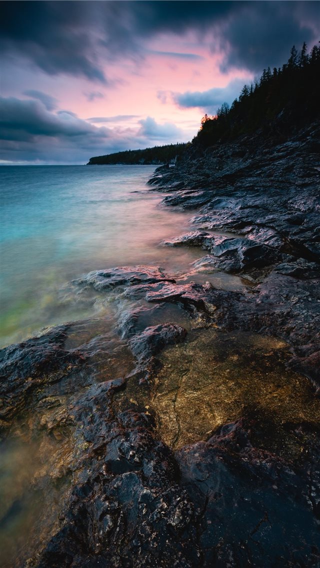 shore surrounded with trees iPhone 8 wallpaper 