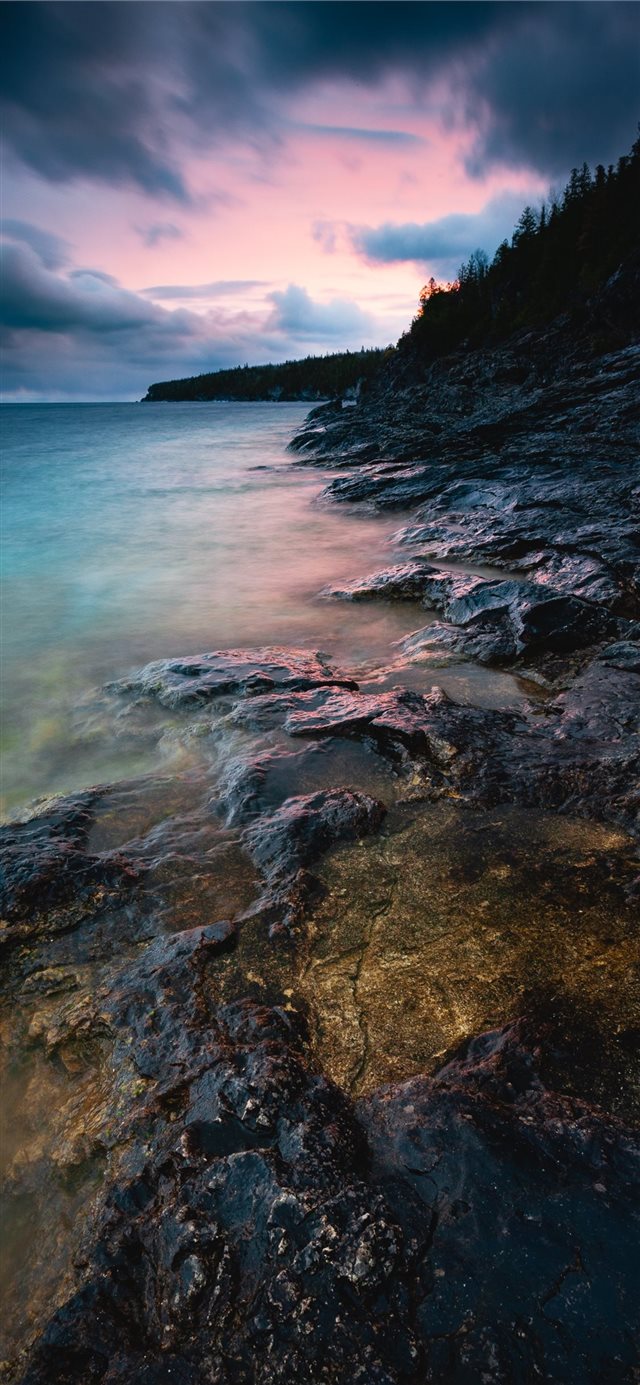 shore surrounded with trees iPhone X wallpaper 