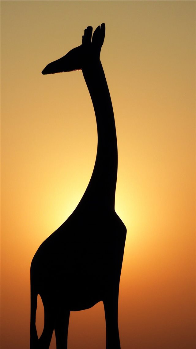 silhouette of giraffe iPhone 8 wallpaper 