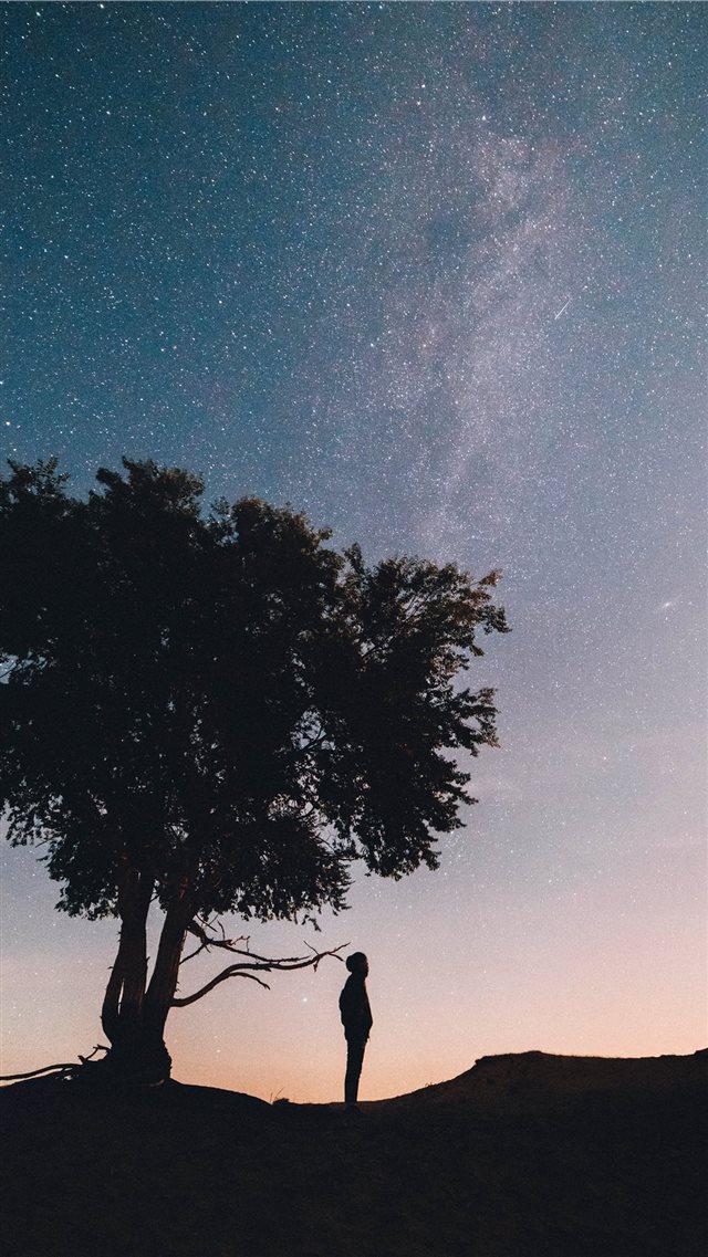 silhouette of man standing under the tree iPhone 8 wallpaper 