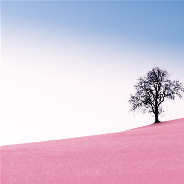 tree pink desert 10k iPad Pro wallpaper 