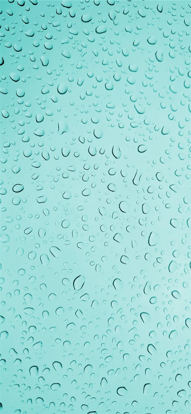 water dew iPhone X wallpaper 