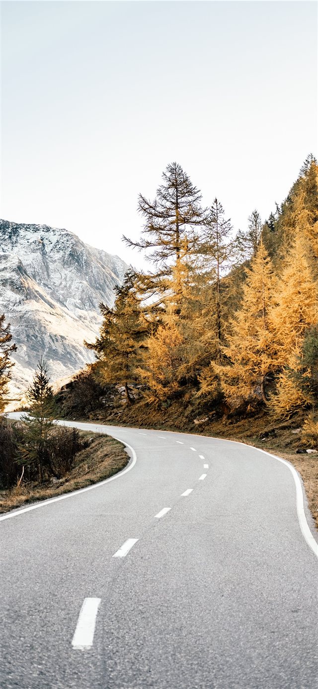 winding road near mountains and forest during dayt... iPhone X wallpaper 