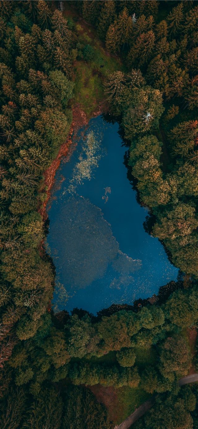aerial view of lake surrounded by trees iPhone 11 wallpaper 
