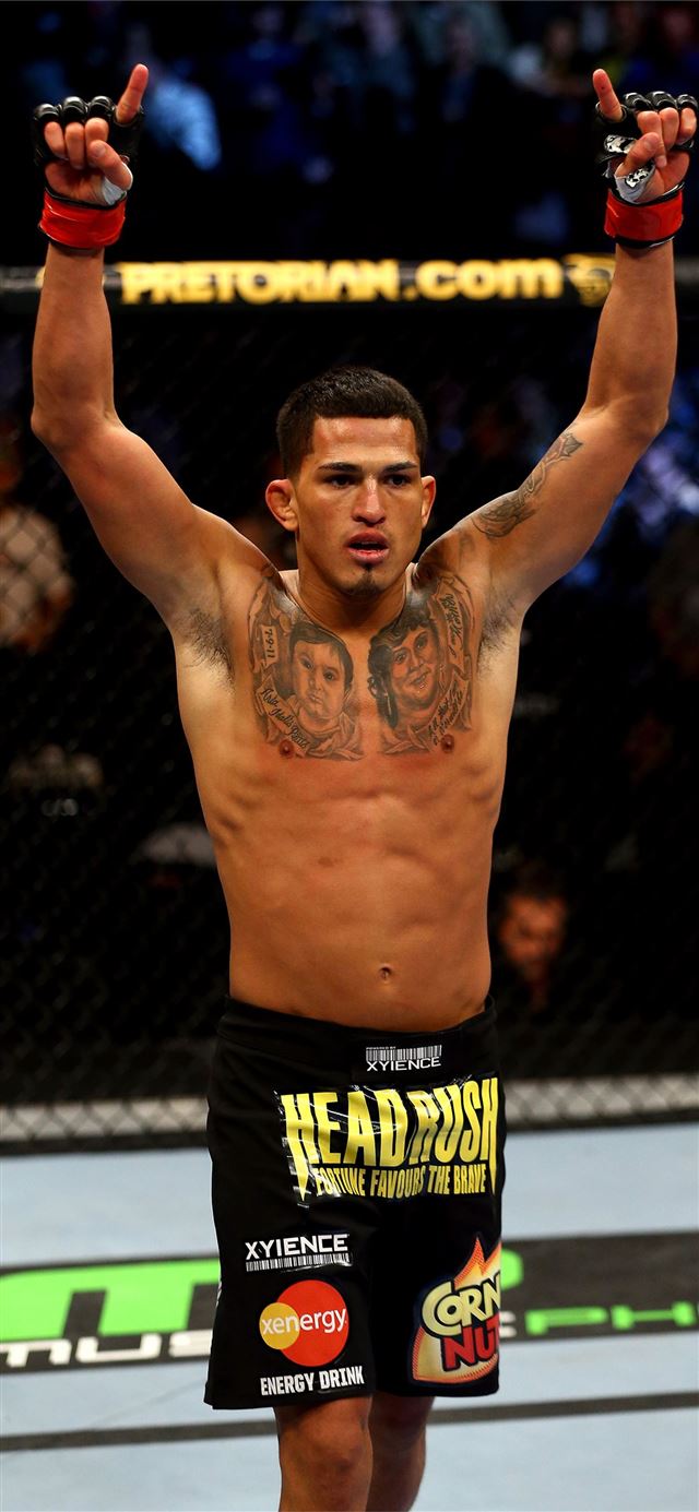 Anthony Pettis Sports HQ Anthony Pettis pictures iPhone X wallpaper 