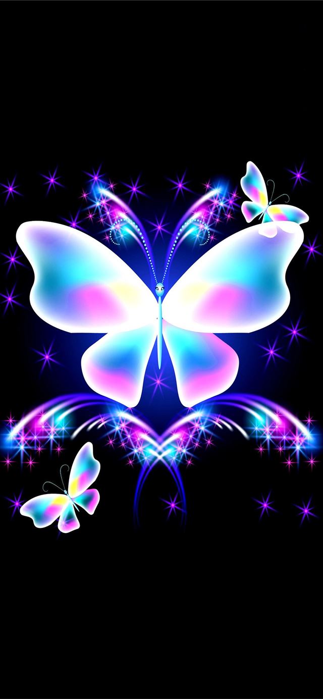 Butterfly iPhone 11 wallpaper 