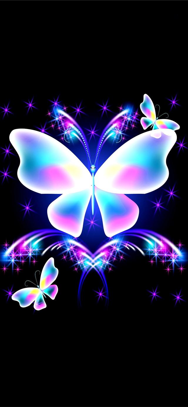 Butterfly iPhone 11 Wallpapers Free Download