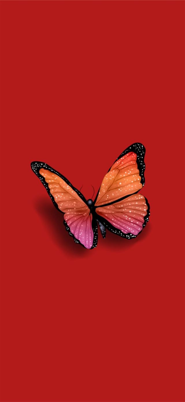 Butterfly by steph on colors iPhone X wallpaper 