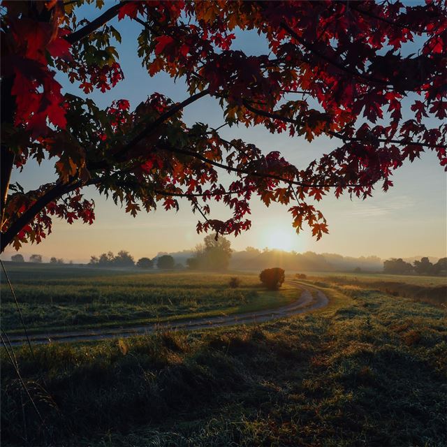 farmland autumn trees 5k iPad Pro wallpaper 