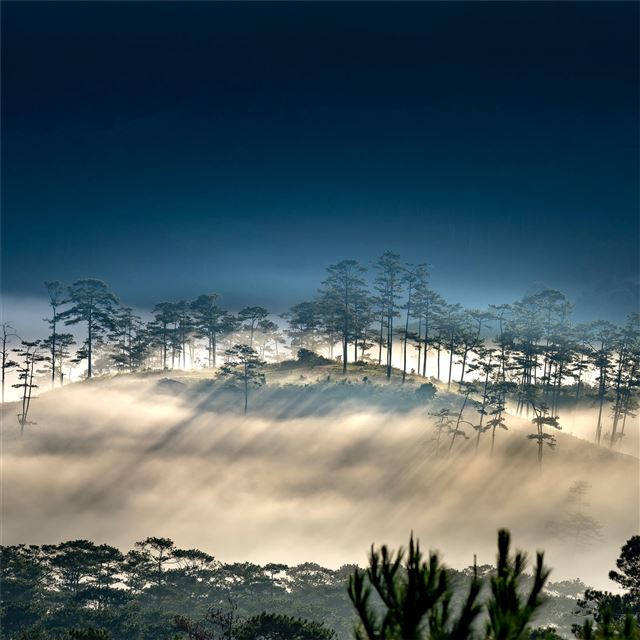 foggy morning hills 8k iPad Air wallpaper 